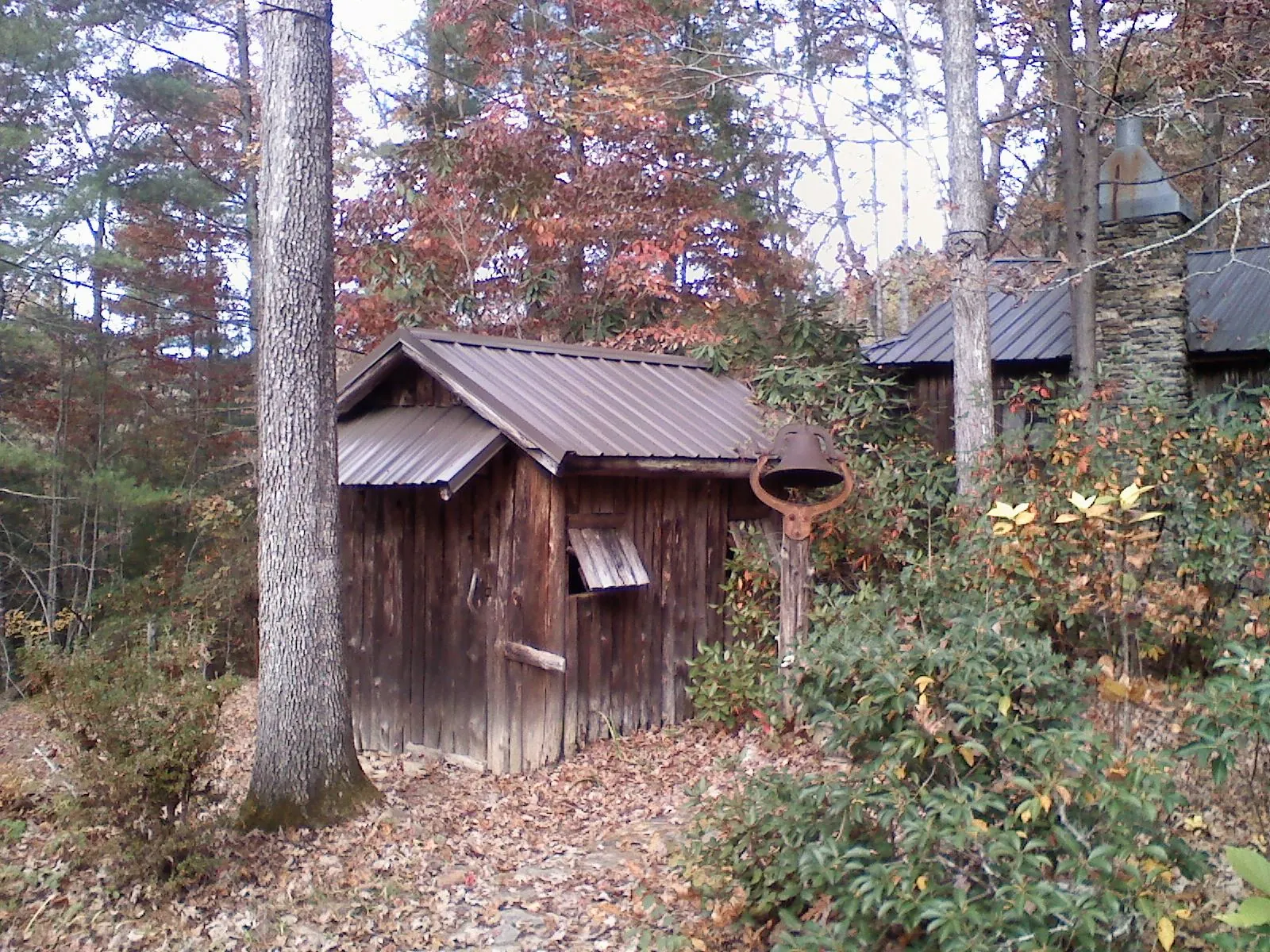 Small metal roof on a rough sawn shed in the woods in Union City